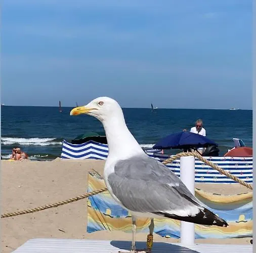 Monte Cassino Glamour By Downtown Apartamento Sopot