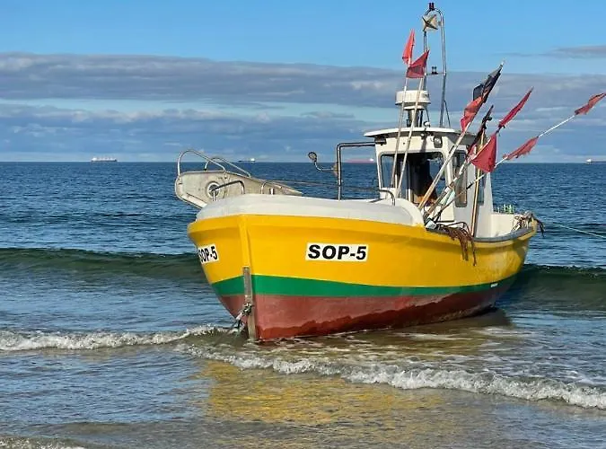 Monte Cassino Glamour By Downtown